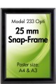 Model 233